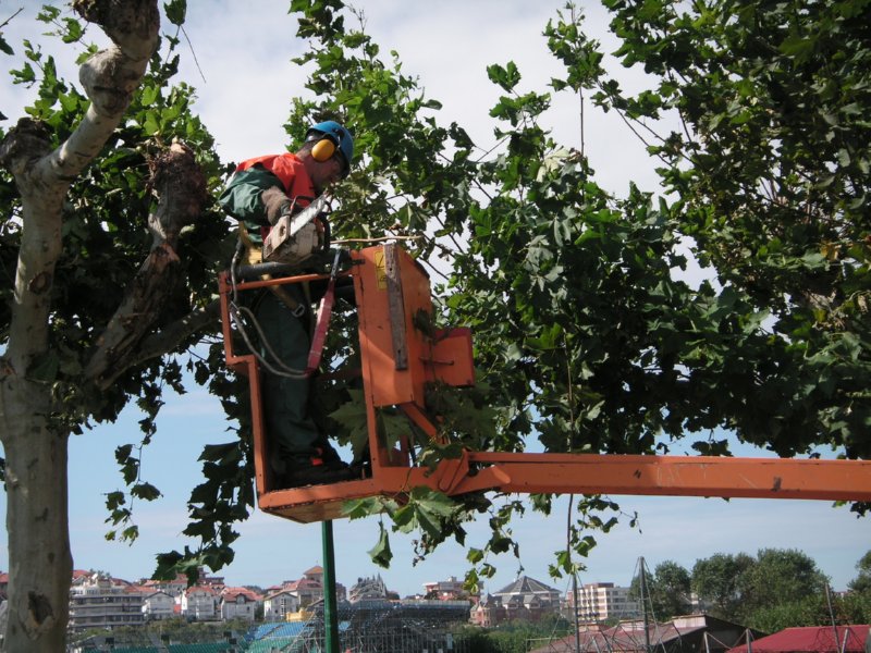 demostracion (5)  FOTOS IMAGENES